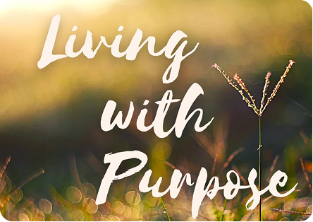 Finding Your Purpose: How to Build a Life That Matters
